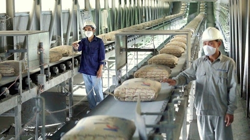 Cement exports unlikely to enjoy robust growth in 2021 (photo: vietnam economics news) 